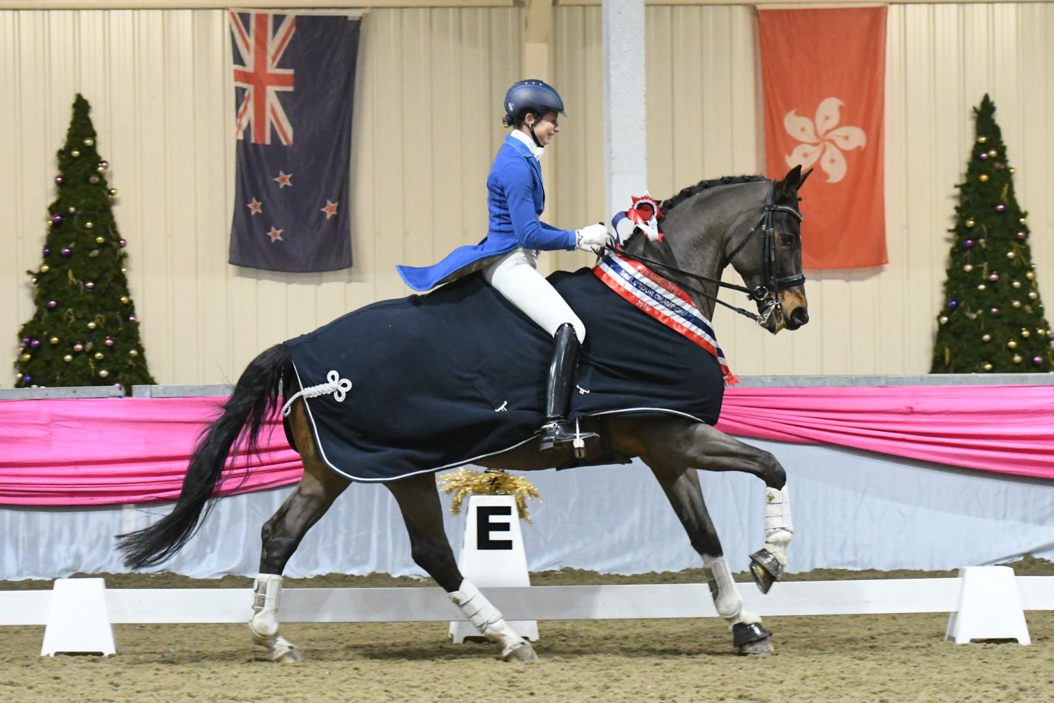 sarajanelanning.co.uk – International Dressage Rider, Trainer & Judge
